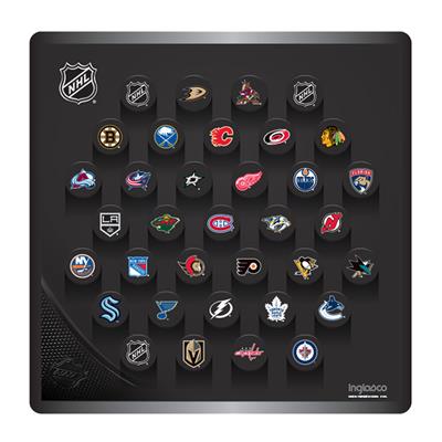 The best choice to stay at home - InGlasco NHL Puck Keychain - St. Louis  Blues - InGlasco Sales